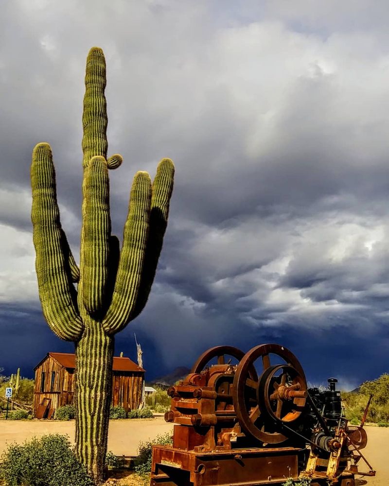 Preservation, Weddings, And What Comes Next