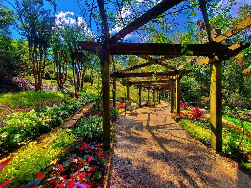 Over A Thousand Blooms And A Climbing Arbor