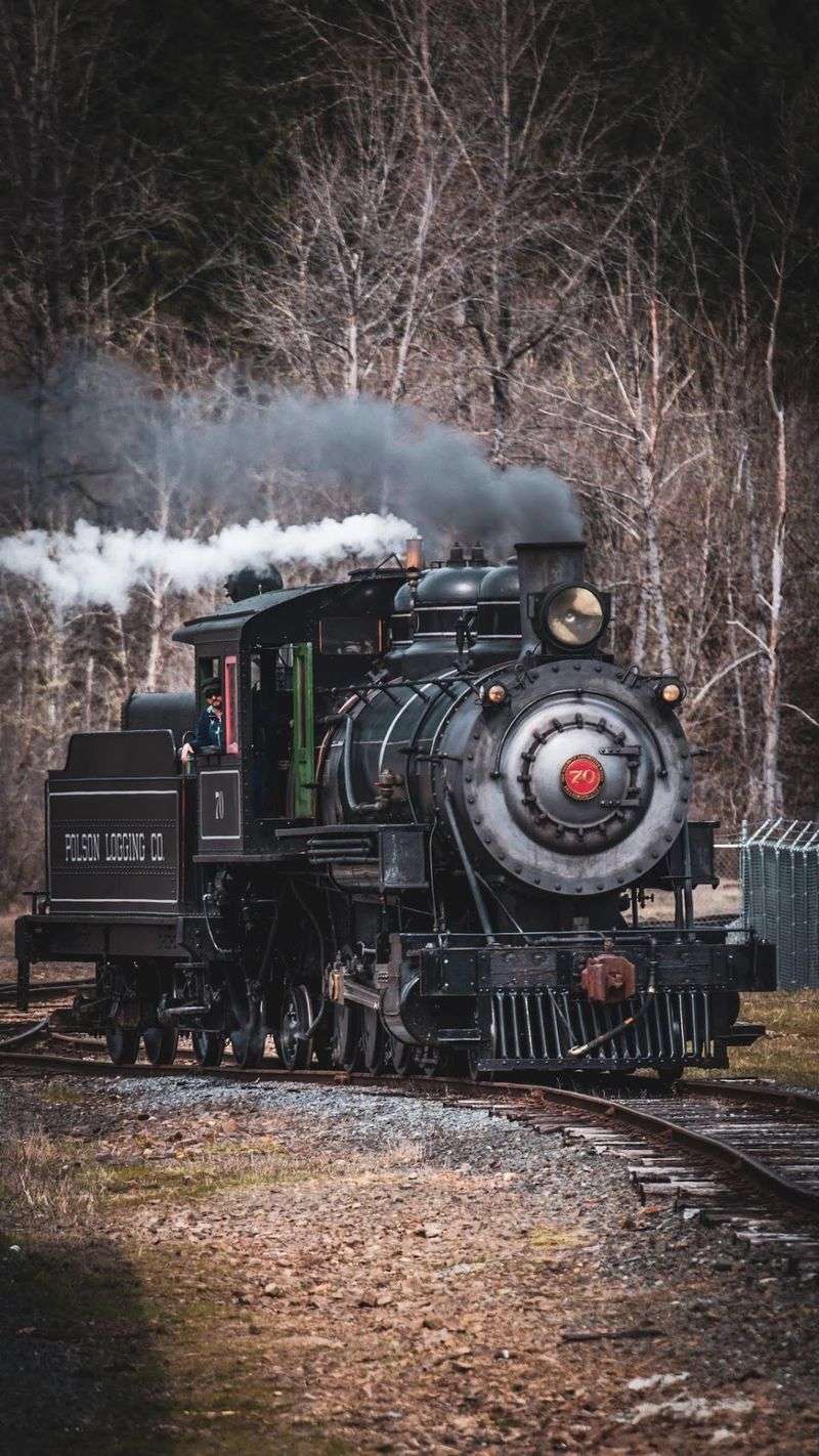 Take An Unforgettable Open-Air Train Ride Through Washington - Decor Hint Timber Rails Turned Tourist Line