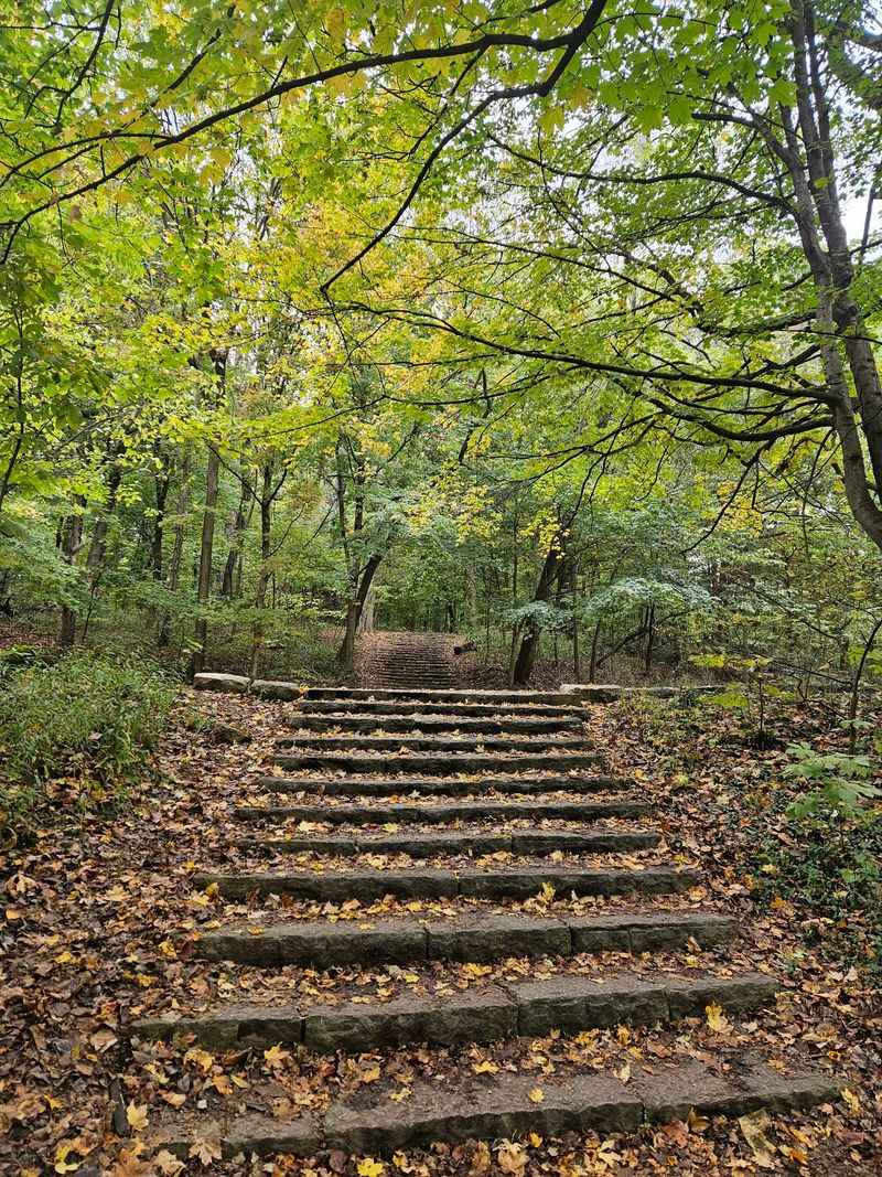 Cherokee Park