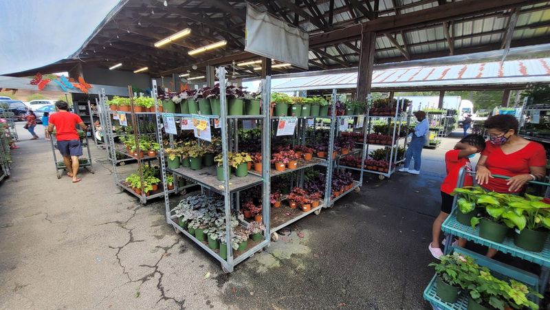 Five Decades Of Growing Experience