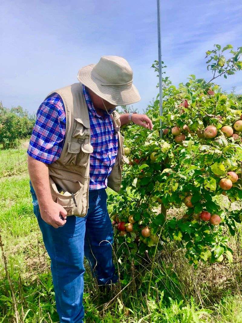 This Beautiful New York Farm Is Quietly Opening Its Apple Orchards Before The Fall Crowds Arrive - Decor Hint Views That Make You Stop Mid Row