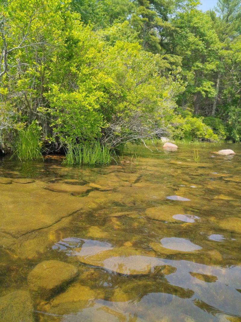 Clear Water Worth The Drive