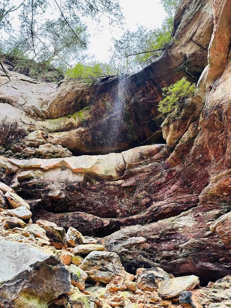 What To Bring On The Hike