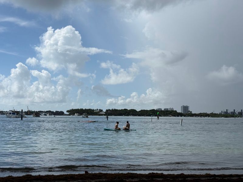 Park Amenities Worth Knowing About