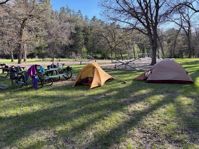 Mountain Lion Reports Near Valentine City Park