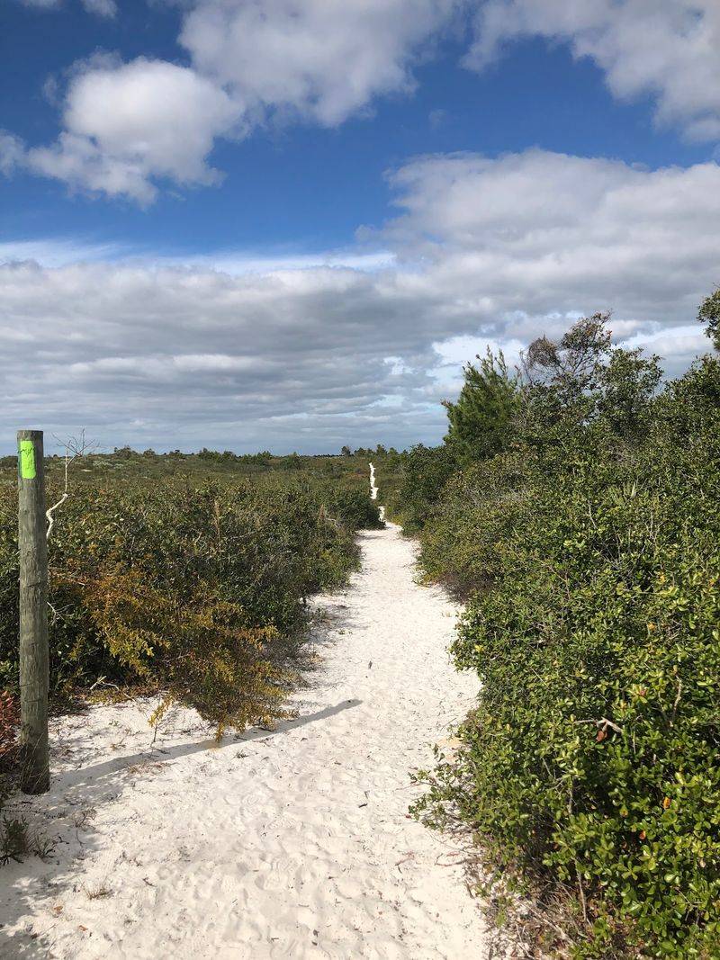 9 Affordable Florida Road Trip Destinations That Will Go Easy On Your Wallet - Decor Hint Jonathan Dickinson State Park, Hobe Sound