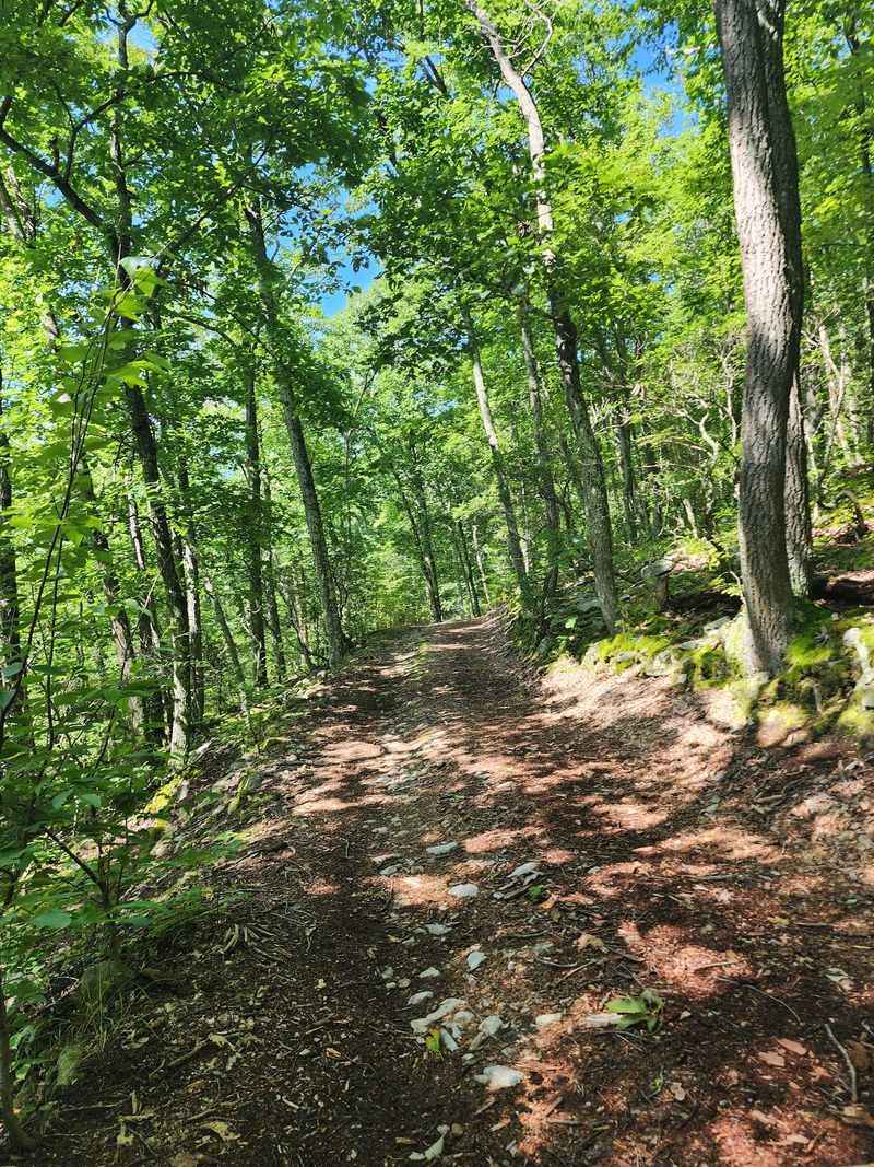 A 60-Acre Connecticut Nature Retreat Where The Cabins Look Straight Out Of A Storybook - Decor Hint Open Space Is The Heart Of It
