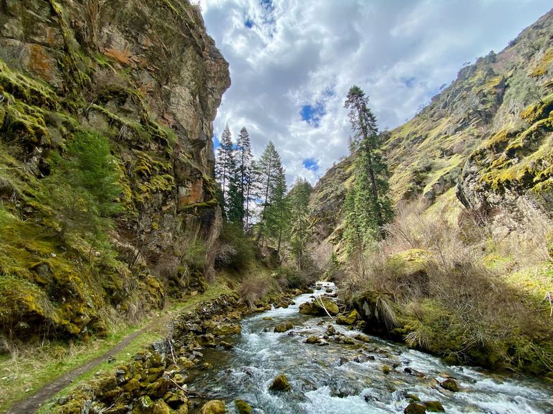 Rocky Slopes Give Way To Taller Timber Without Much Warning