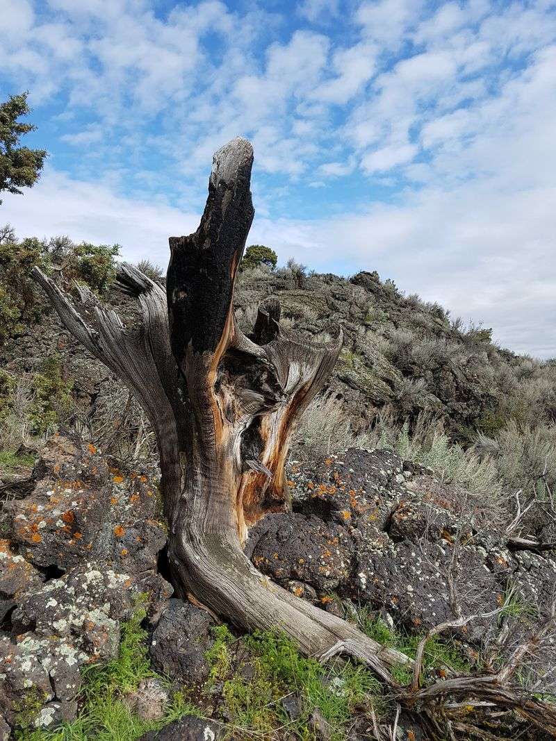 This Loop Has A Scary Name But An Incredible Idaho Hiking Experience - Decor Hint Loggers, Landmarks, And Legacy