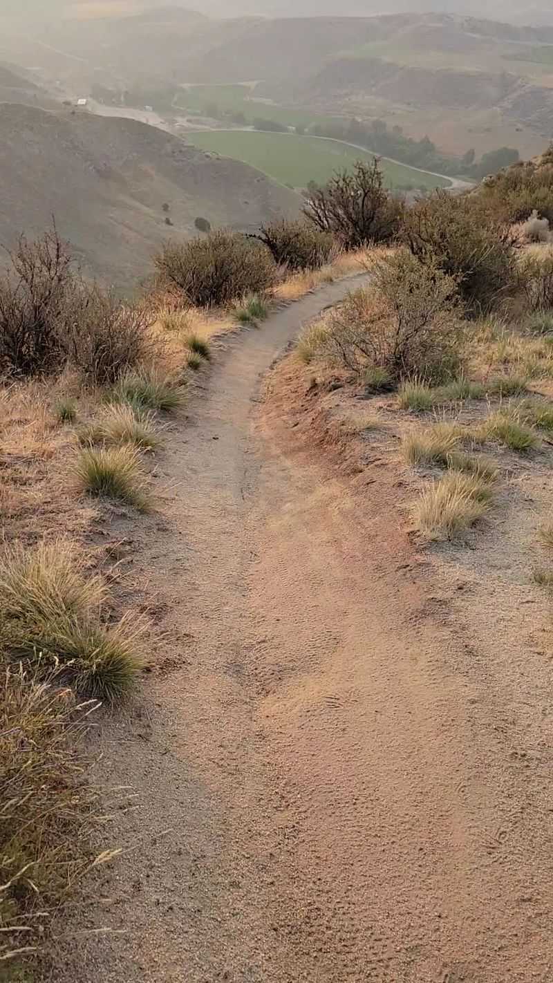 Sweeping Treasure Valley Views