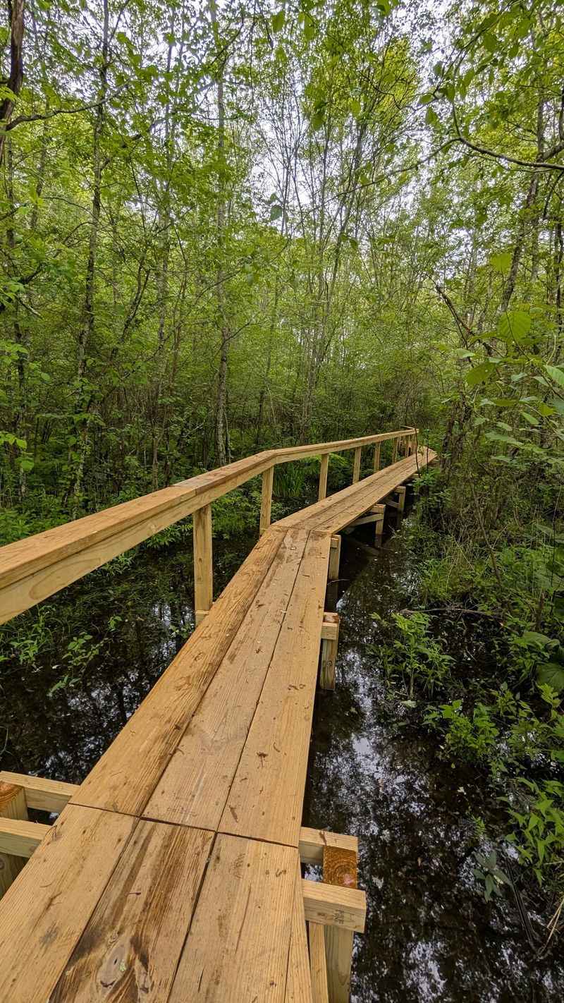 More Than Ten Miles Of Connected Trails