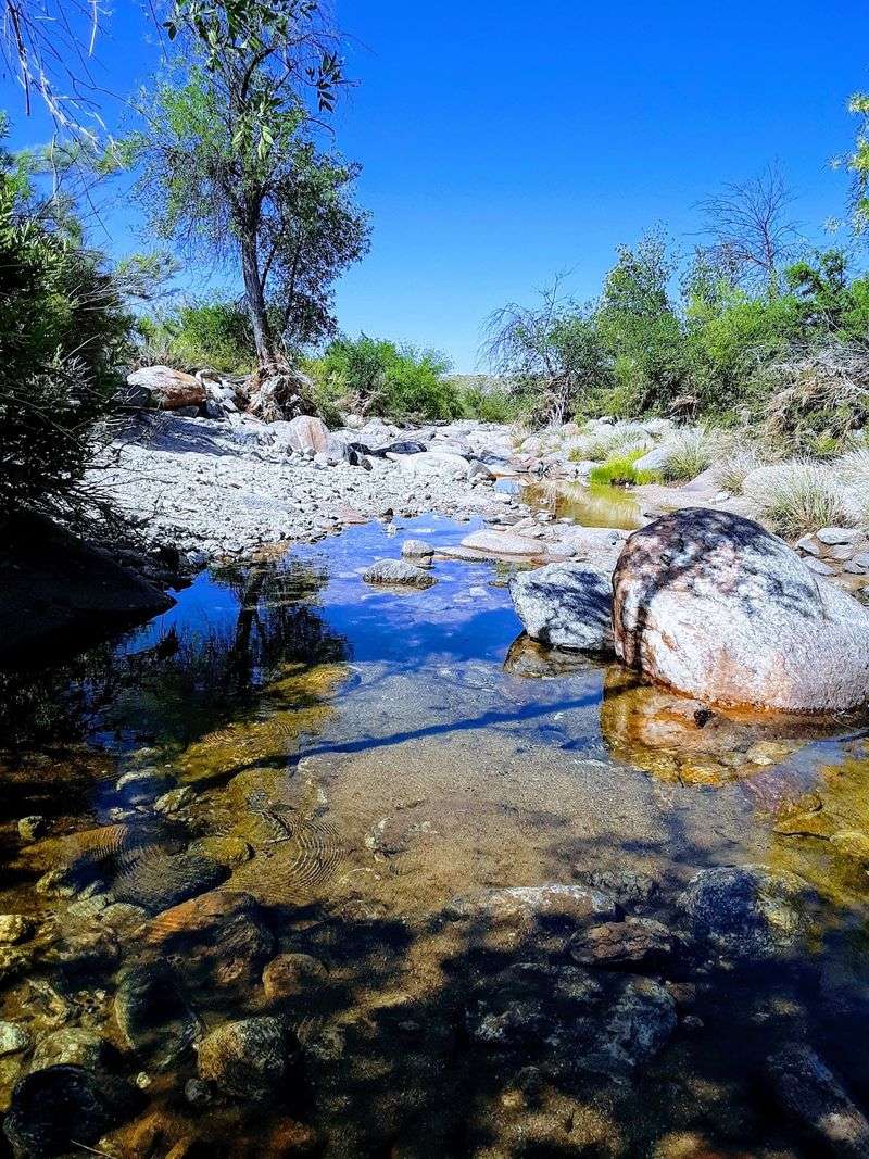 Bingham Ranch / Redington Site, Redington Rd, Near Tucson