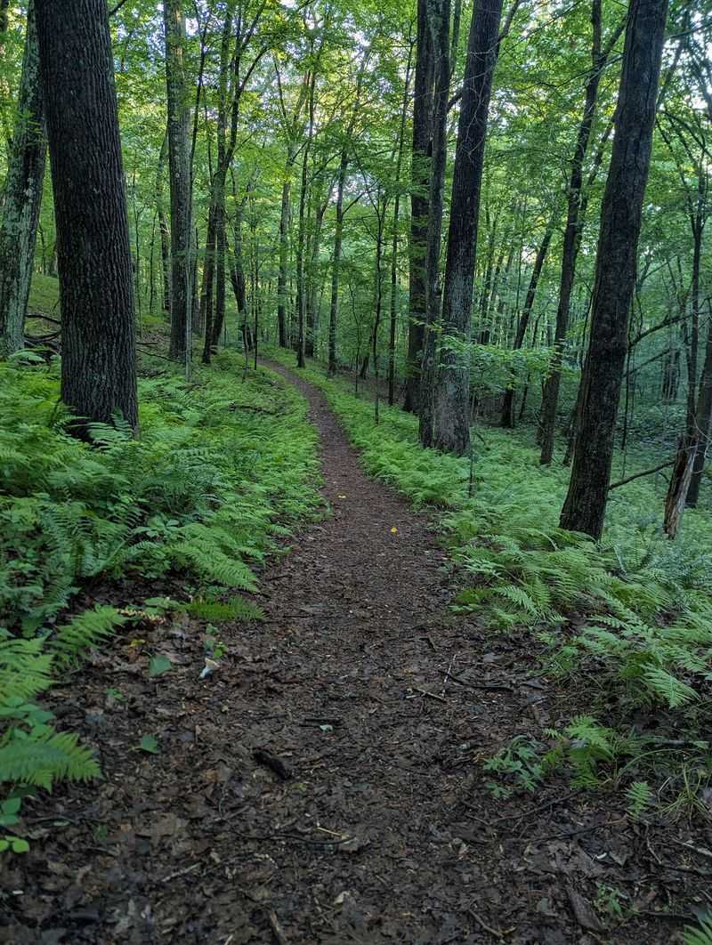Three Towns Meet Around This 1,017-Acre Escape