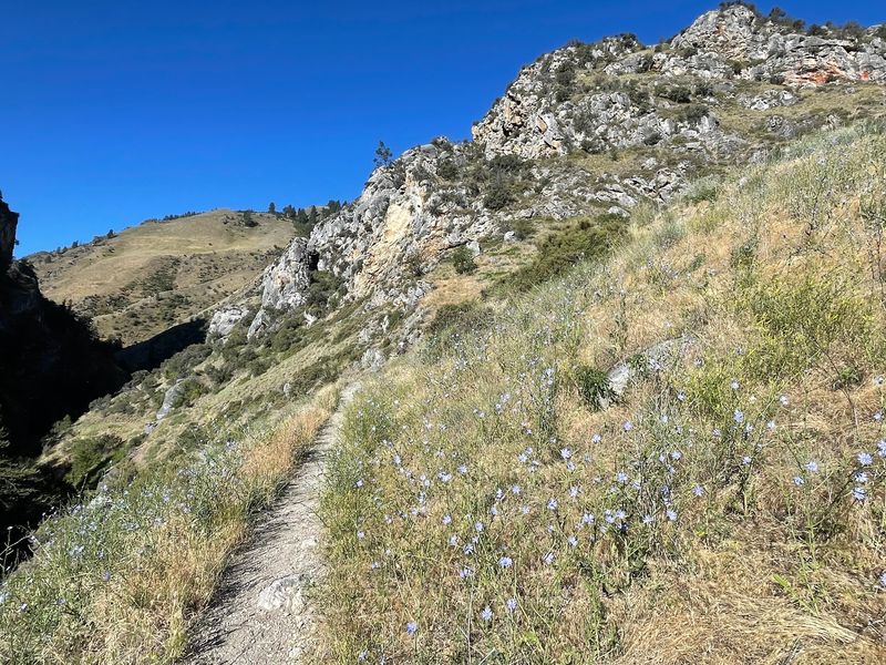 Wildflowers And Wildlife Keep The Quieter Stretches Interesting