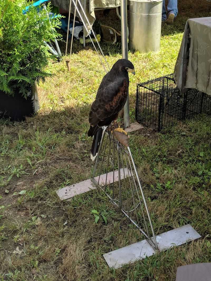 Woodlands Wildlife Refuge, Pittstown