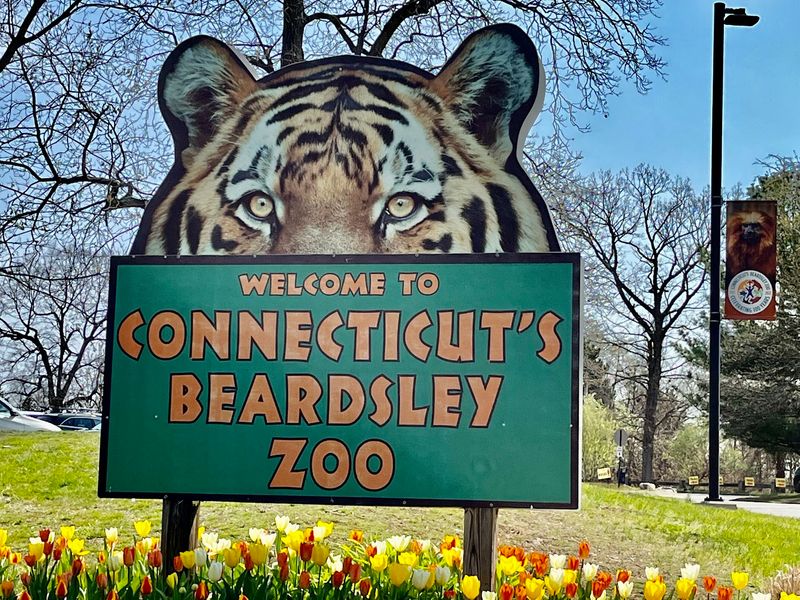 Connecticut's Beardsley Zoo, Bridgeport 