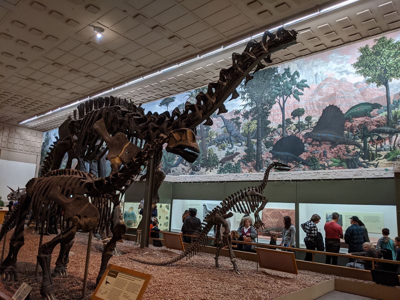 Yale Peabody Museum, New Haven