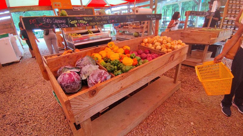 Atlanta Harvest, Ellenwood