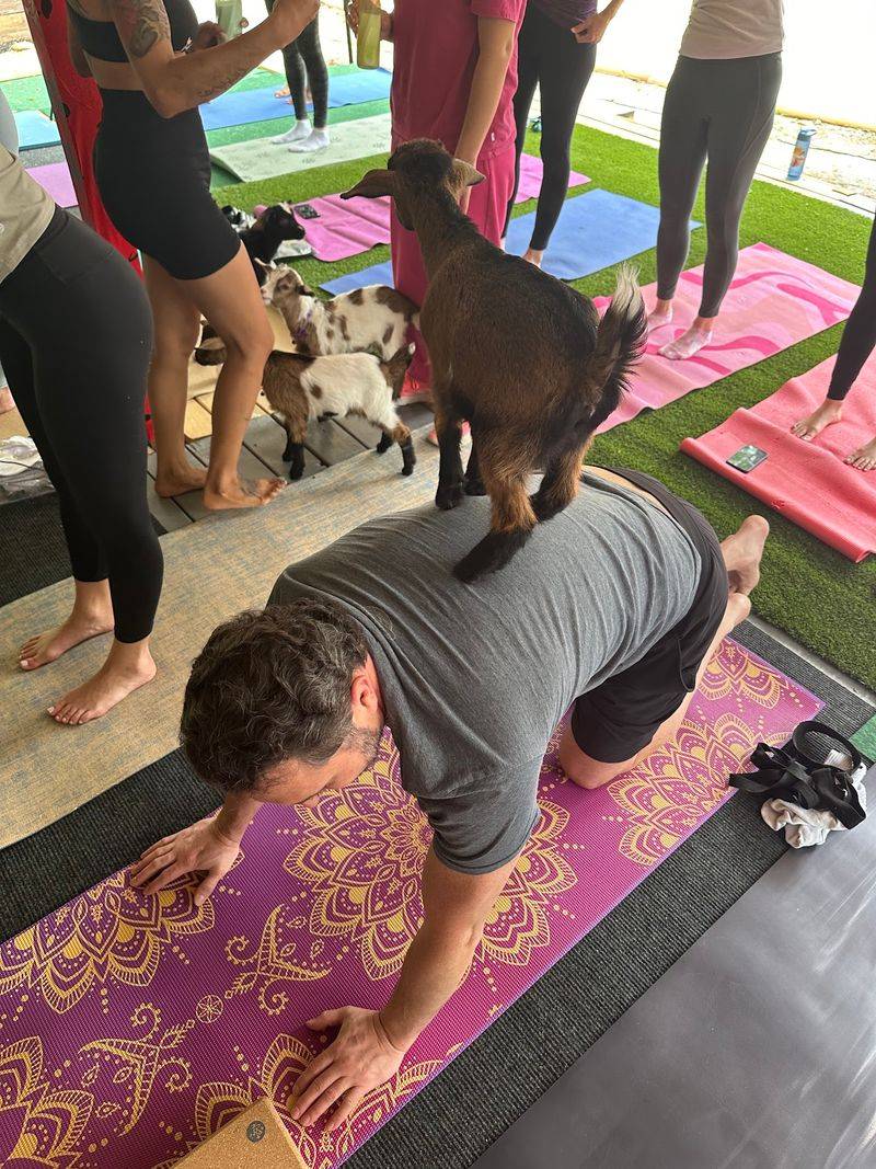 A Real Yoga Flow, Not Just A Photo Session