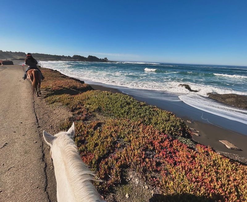 Longer Rides Follow The South Coastal Trail