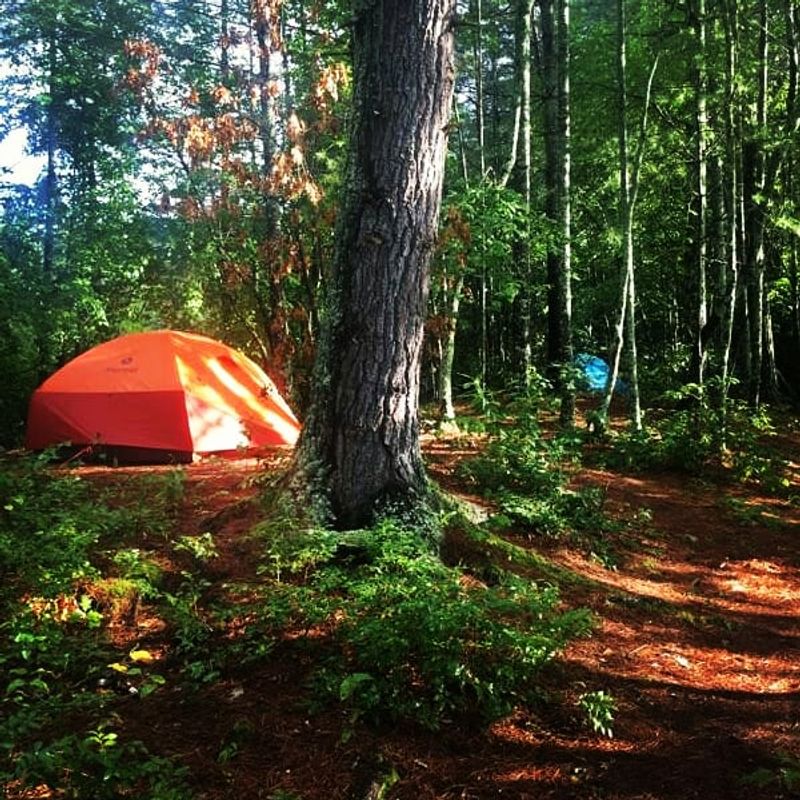 The North Carolina Lake With 76 Miles Of Mostly Undeveloped Shoreline And Barely Any Crowds - Decor Hint Pull Up To A Primitive Campsite That Costs Absolutely Nothing