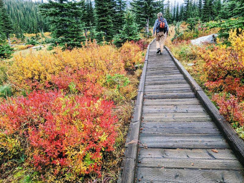 Follow The Trail As The Selkirk Scenery Gets Wilder With Every Mile