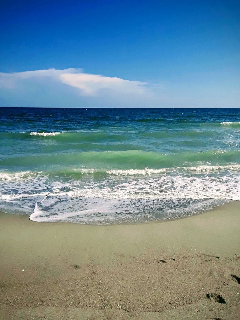 This North Carolina Beach Is One Of The Few Places You Can Hunt For Ancient Sea Biscuits - Decor Hint Walk The Waterline At Low Tide For Your Best Chance