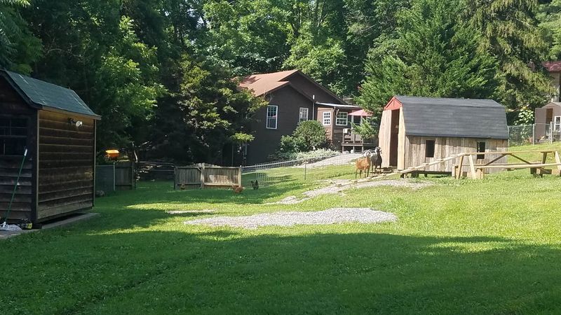 Spend A Peaceful Afternoon Surrounded By Farm Animals