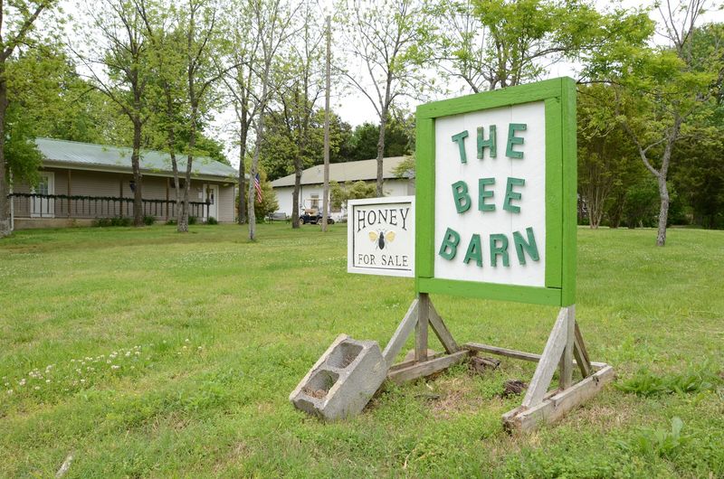 A Barn With A Buzz Behind The Glass