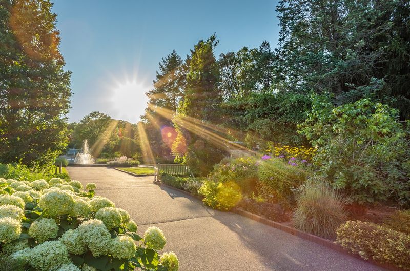 A Garden That Grows On You Instantly