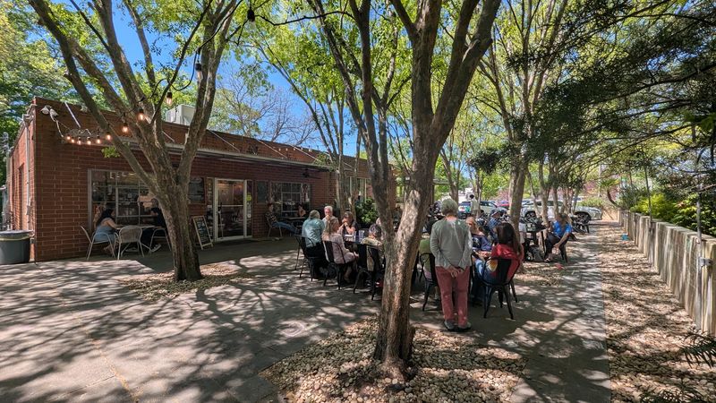 10 Dog-Friendly Georgia Patios Worth Visiting For Food And Drinks - Decor Hint Big City Bread Cafe, Athens