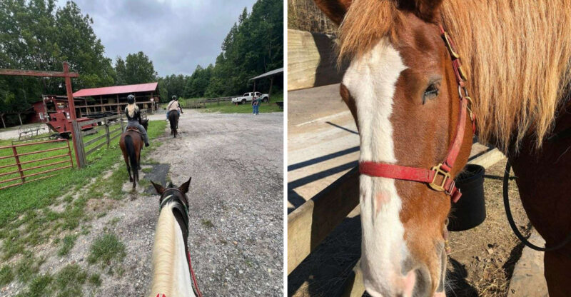This 2-Hour Horseback Ride Might Be Georgia’s Most Unexpected Mountain Adventure