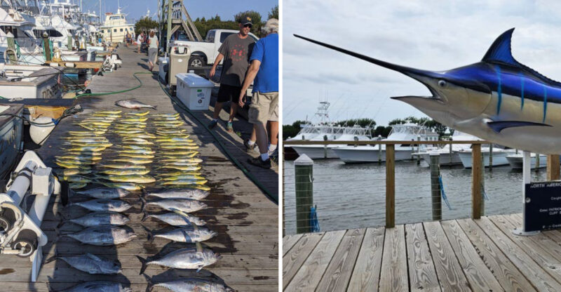 This North Carolina Outer Banks Town Is Exploding With Summer Energy This Week And It All Centers Around One Famous Marina