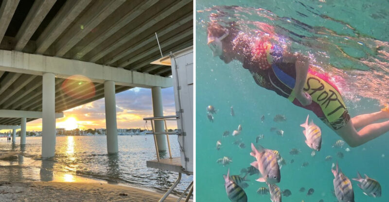 This Free Florida Snorkel Trail Offers An Unforgettable Underwater Adventure