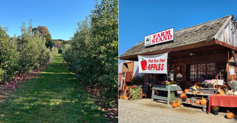 10 Fruit Farms In Connecticut That Belong On Your Summer Bucket List