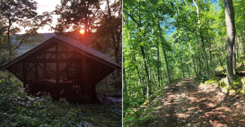 A 60-Acre Connecticut Nature Retreat Where The Cabins Look Straight Out Of A Storybook