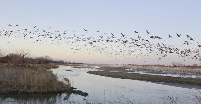 Thousands Of Birds Fill The Skies Above This Hidden Nebraska Wildlife Sanctuary