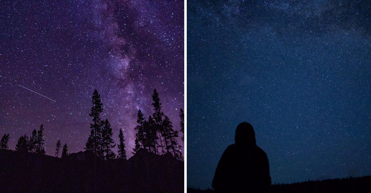 featured image 1853070859c2 ff59131e1bf0 - Decor Hint