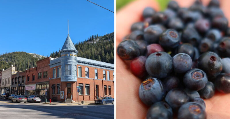 8 Idaho Mountain Towns To Visit Before Huckleberry Season Ends