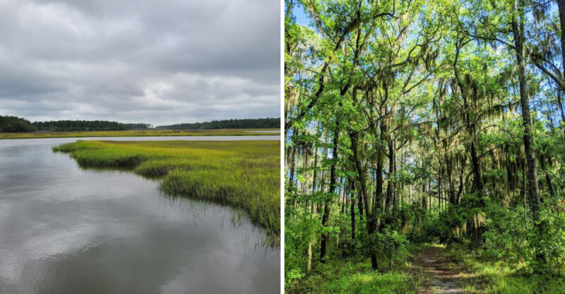 Most Travelers Drive Right Past This Georgia Trail Leading To An Incredible Coastal View