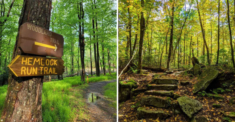 These Are 10 Tranquil Pennsylvania Hikes You’ll Want To Try In 2026