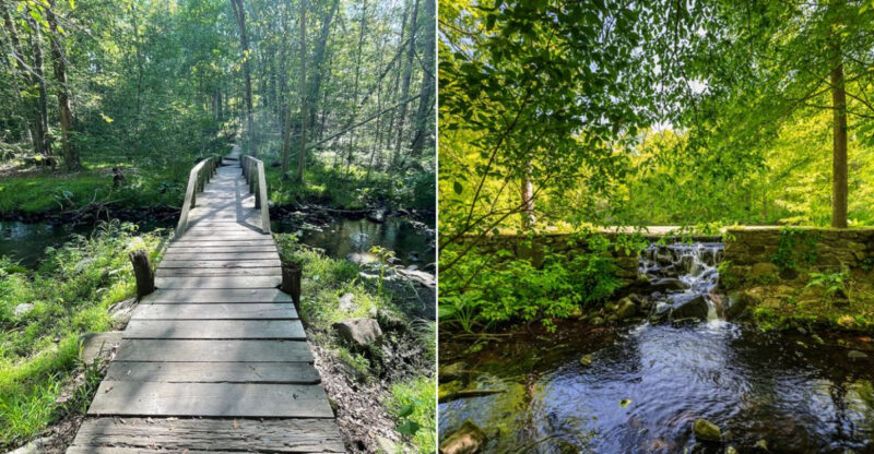 This Connecticut Arboretum Is A Senior-Friendly Destination With Beautiful Views And Easy Paths