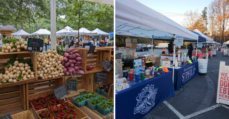 8 Georgia Farms And Markets Where You Can Find Fresh Figs This August