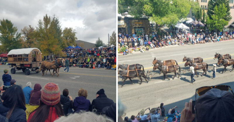 You Have To See The 20 Shire Horses That Take Over This Idaho Town With Massive Historic Wagons