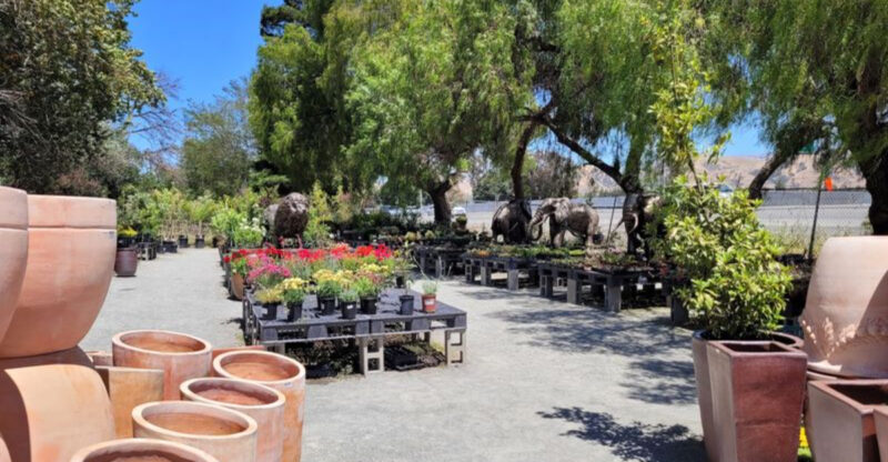 This California Garden Outlet Is A Secret Goldmine For Bargain Pots And Backyard Finds