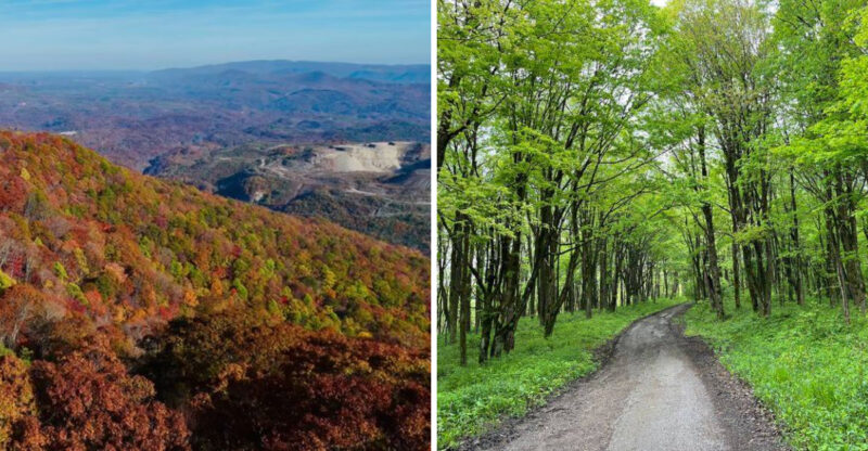 Drive Fifteen Minutes From This Kentucky Town And The Temperature Drops Fourteen Degrees