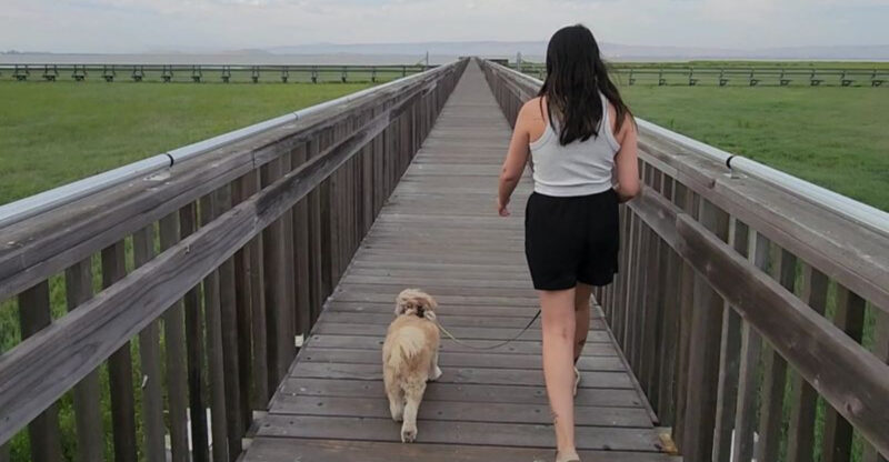 This 15-Mile California Trail Network Winds Through Wild Marshes With Incredible San Francisco Bay Views