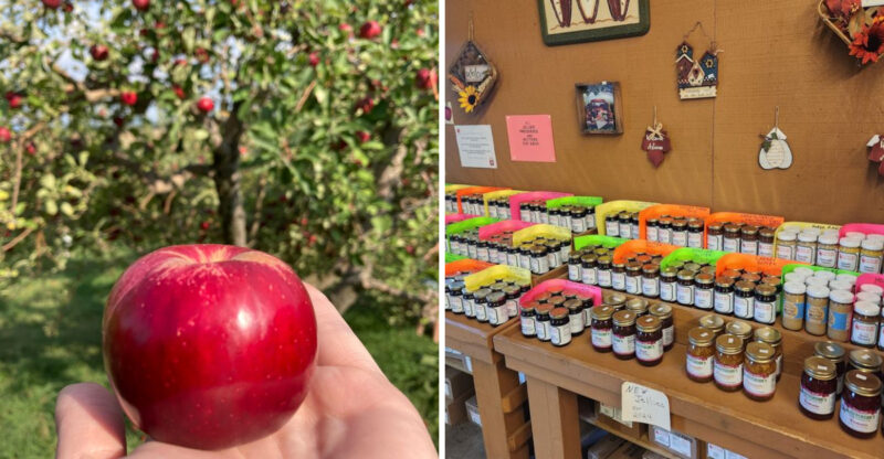 This Nebraska Orchard Has U-Pick Apples And A Farm Market Full Of Fall Treats