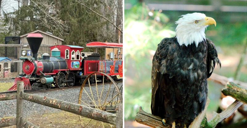 This Hidden New Jersey Zoo Is The Perfect Spot For An Unforgettable Day Out